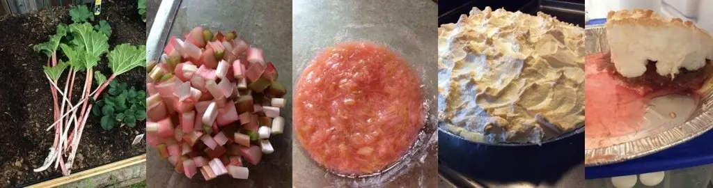 how to make rhubarb pie