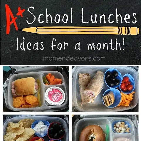 school-lunches-for-a-month1
