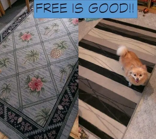 FREE-IS-GOOD-RUGS-1