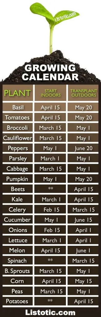 when-to-grow-your-garden1-326x1024