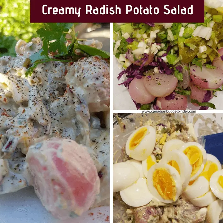 An imitation potato salad but made with boiled radishes and keto-friendly.