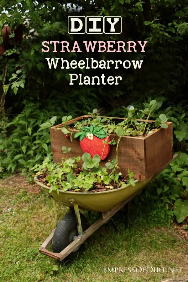 DIY-Strawberry-Wheelbarrow-Planter-C1