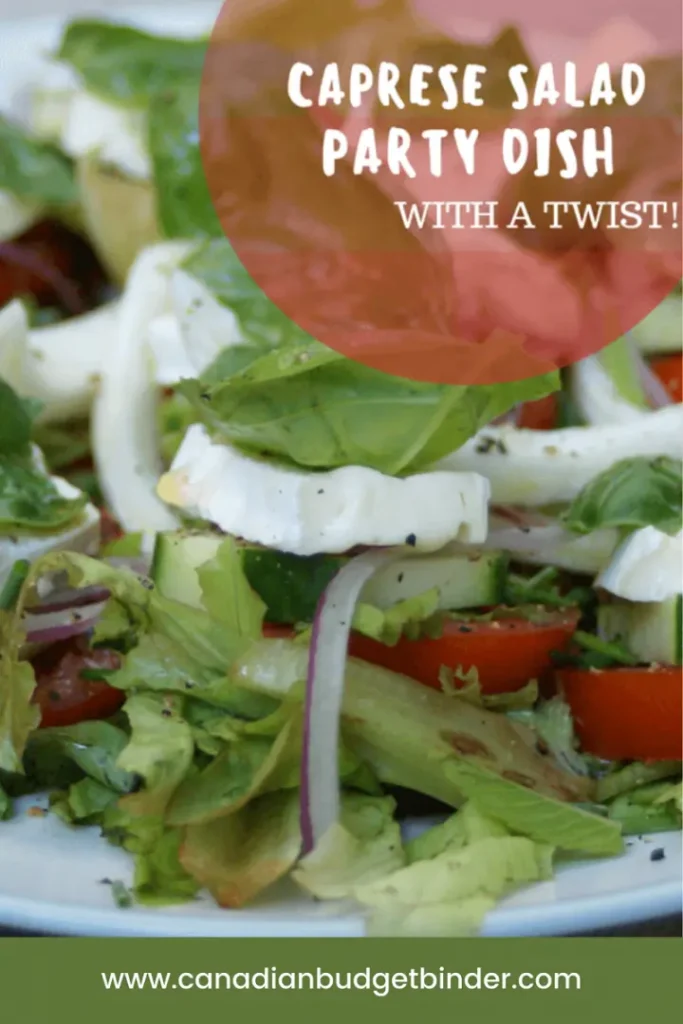 How-to-make-Italian-Caprese-Salad-With-A-Twist-720x1080 (1)