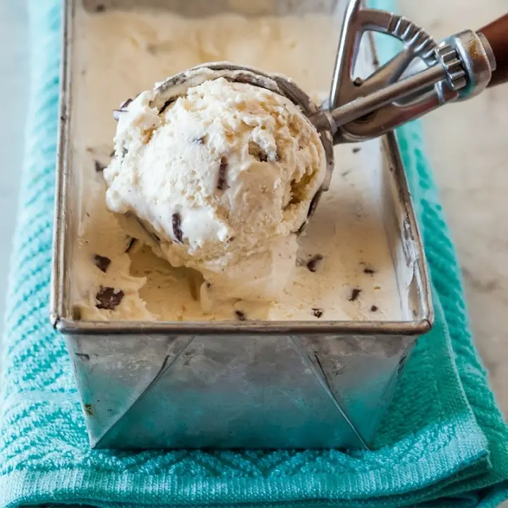 Chocolate Chip Ice Cream