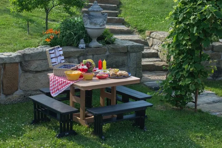 Picnic Foods and Essentials with a picnic table