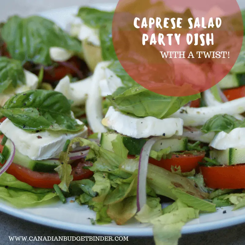 Italian Caprese salad party food or picnic foods