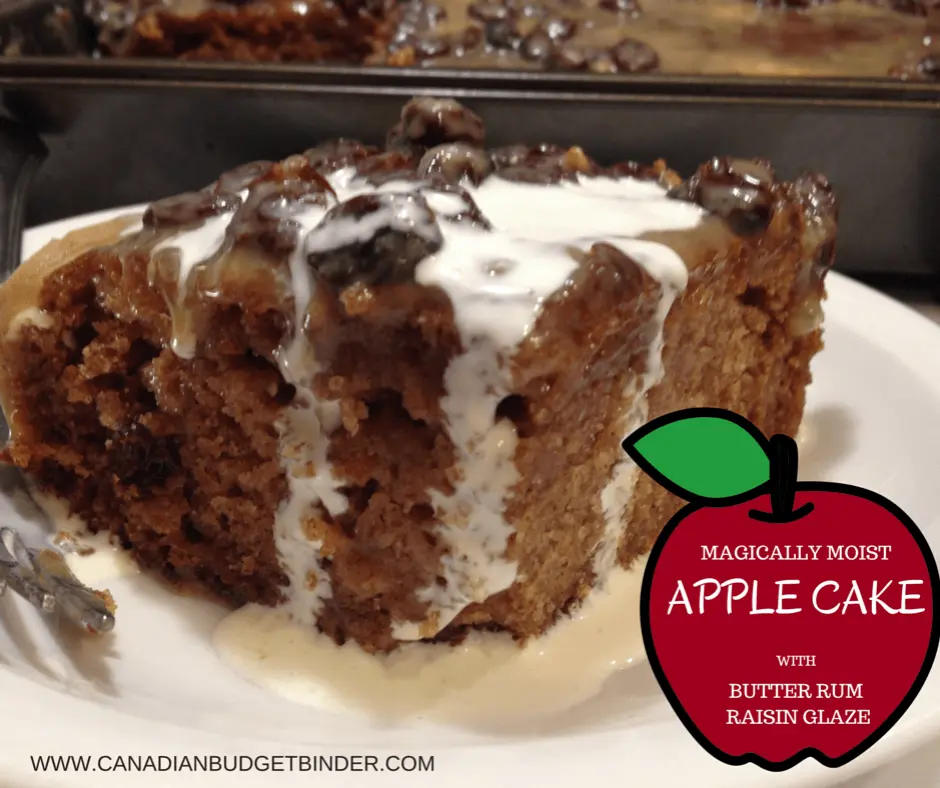 MAGICALLY-MOISTAPPLE-CAKE-2