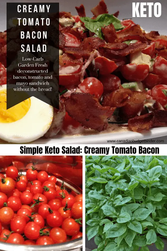 CREAMY-BACON-TOMATO-SALAD-KETO-2 (1)