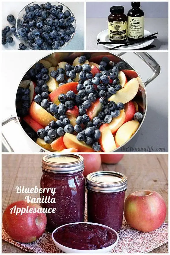 blueberry vanilla applesauce