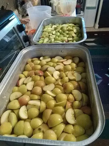 free-apples