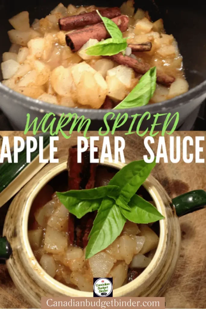 warm-spiced-apple-pear-sauce-2