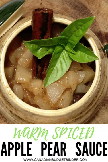 warm-spiced-apple-pear-sauce-6