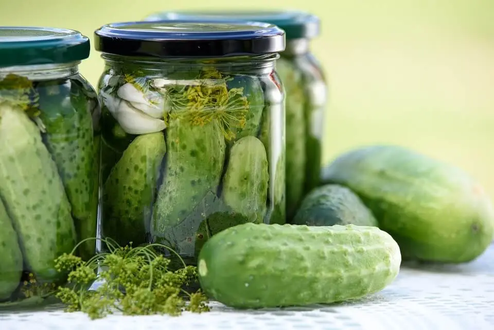Keto-Deep-Fried-Dill-Pickles-Low-Carb- (1)