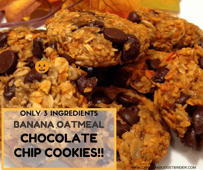 the-easiest-banana-oatmeal-chocolate-chip-cookies-ever-3-ingredients (1)