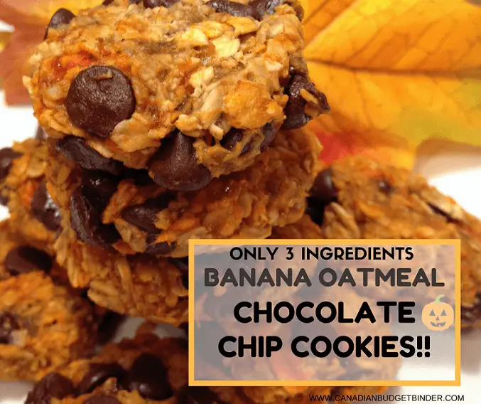 the-easiest-banana-oatmeal-chocolate-chip-cookies-ever-4
