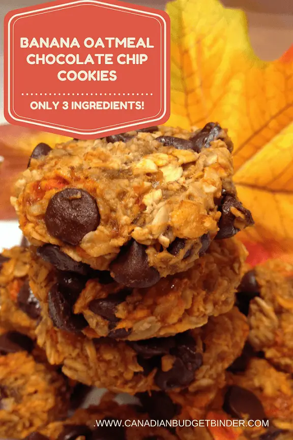 the-easiest-banana-oatmeal-chocolate-chip-cookies-ever-5