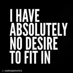 i-have-absolutely-no-desire-to-fit-in