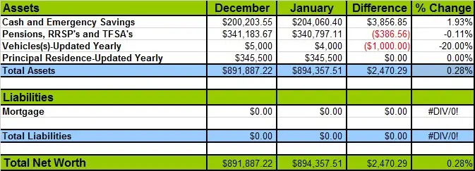January 2017 Net Worth Losses and Gains