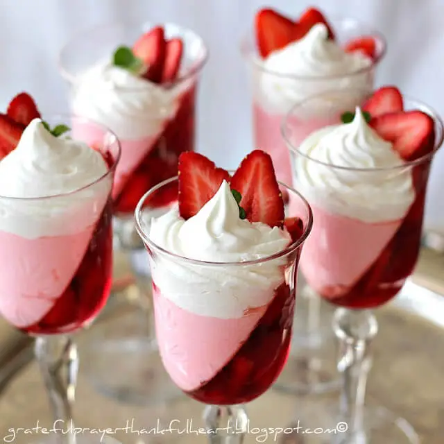 Jello-superberry-slope-dessert-wm-rs-IMG_4509