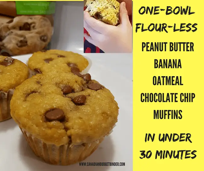 ONE-BOWLFLOUR-LESS-PEANUT-BUTTER-BANANA-OATMEAL-CHOCOLATE-CHIP-MUFFINS-FB.png-2 (1)