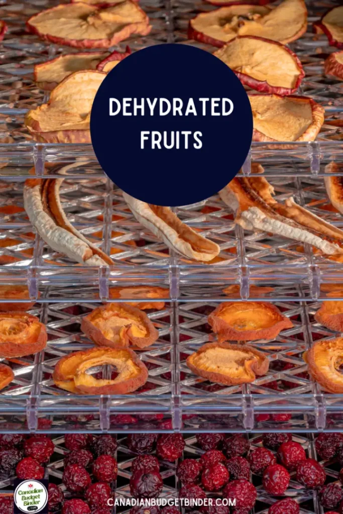 Dehydrated Vegetables and Fruits