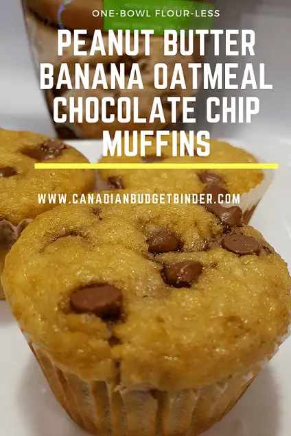 ONE-BOWLFLOUR-LESS-PEANUT-BUTTER-BANANA-OATMEAL-CHOCOLATE-CHIP-MUFFINS-PINT