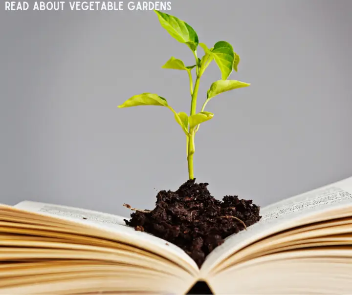 Read About Vegetable Gardening