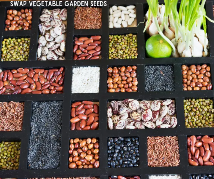 Swap Vegetable Garden Seeds with like-minded gardeners
