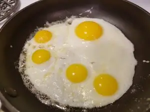 egg