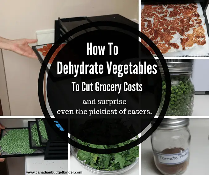 how to dehydrate vegetables to cut grocery costs and picky eaters