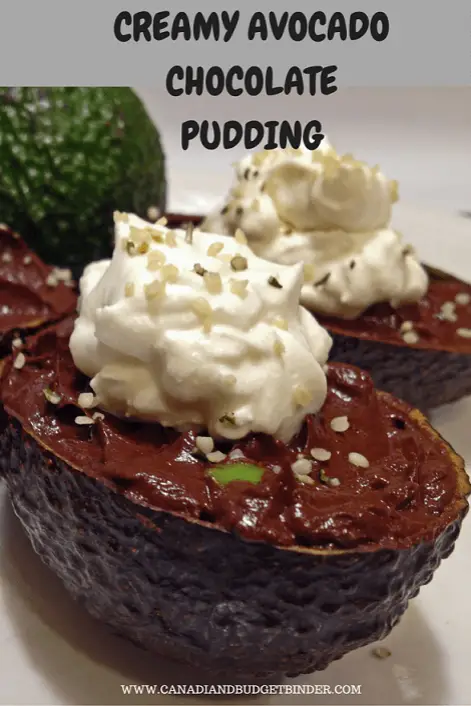 CREAMY-AVOCADO-CHOCOLATE-PUDDING1 (1)