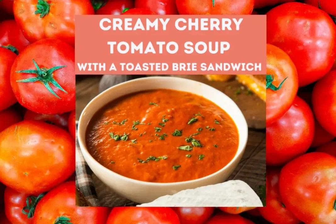 Tomato Soup with Double Brie Grilled Cheese: A Comforting Delight