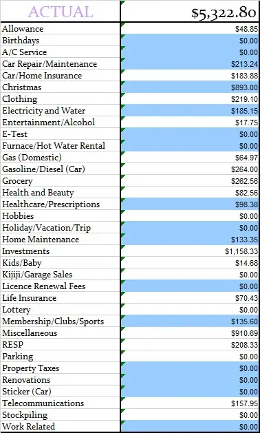December-2017-Actual-Monthly-Budget