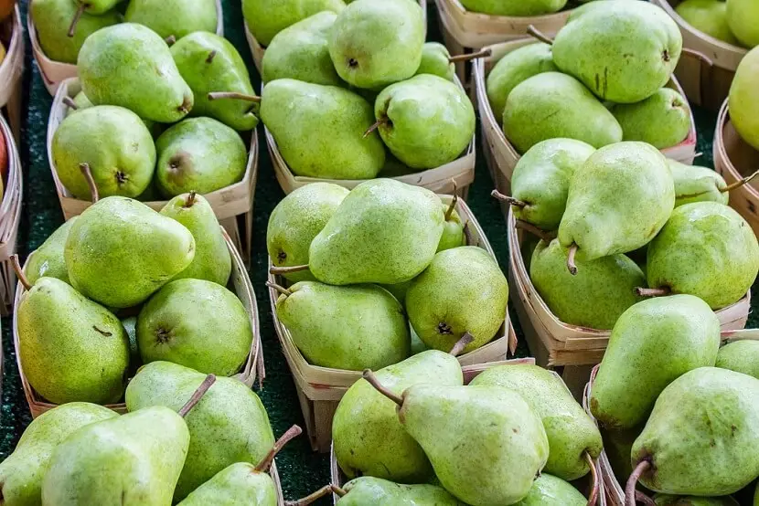 ontario-pears