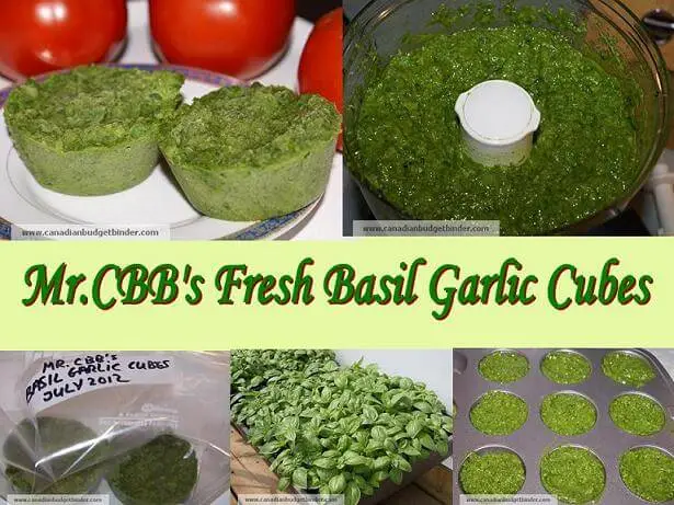 mr-cbbs-fresh-basil-garlic-cubes(1)