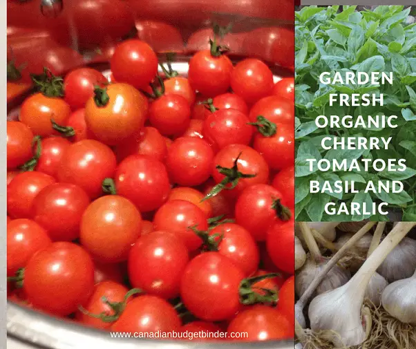 organic garlic tomatoes and basil