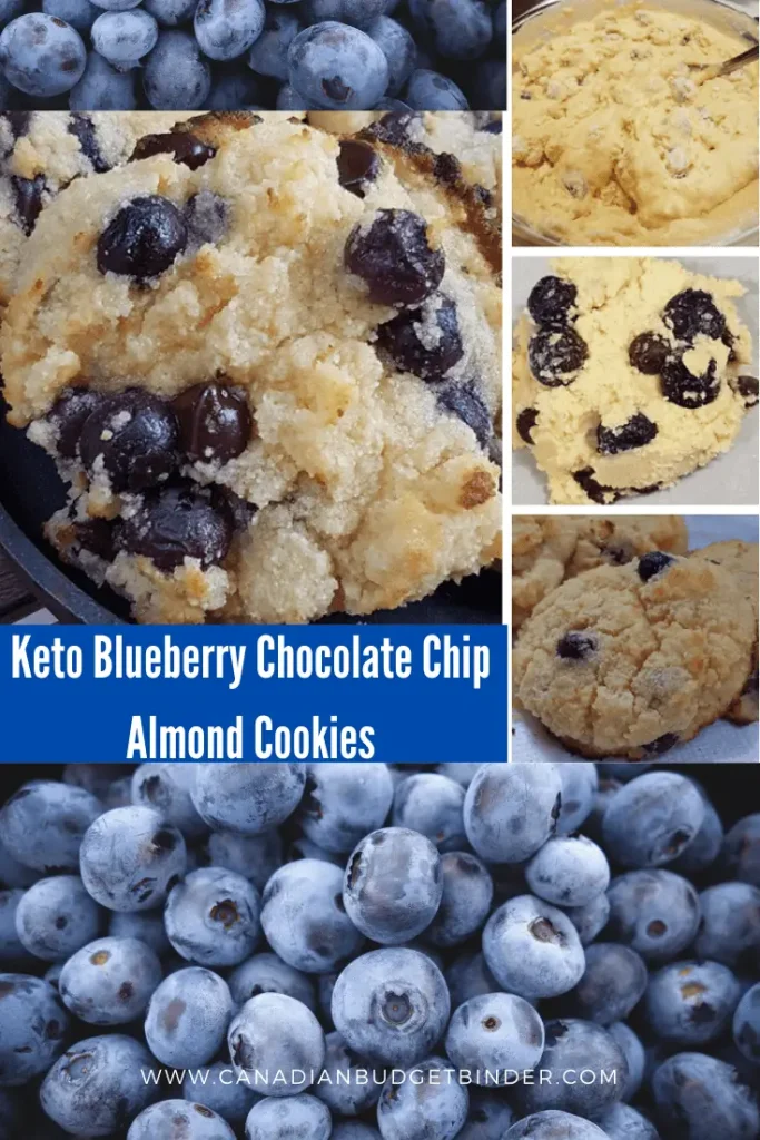 Keto-Blueberry-Chocolate-Chip-Almond-Cookies
