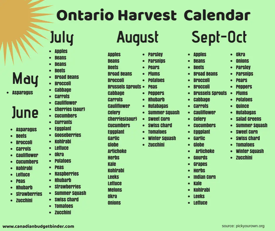 Ontario-Harvest-Calendar-Graphic
