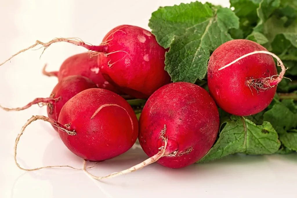 bunch of radishes
