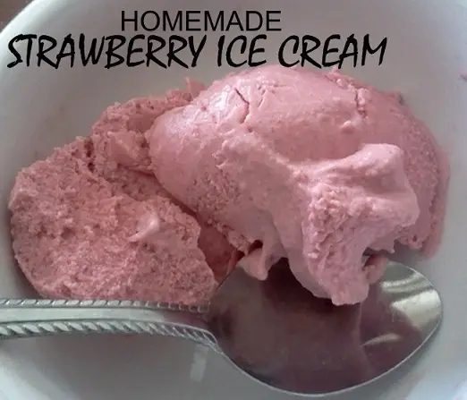 homemade-strawberry-ice-cream-Colleen-