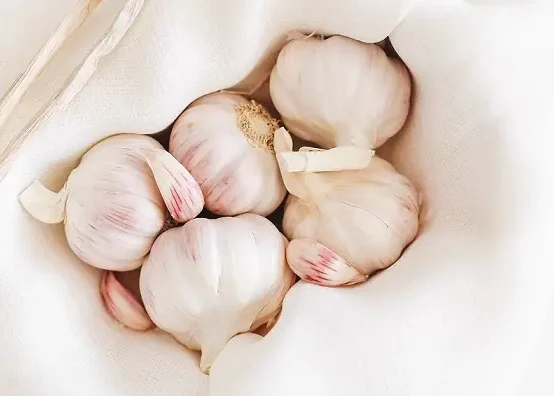 Freshly picked garlic that was washed, cut and hung to dry.