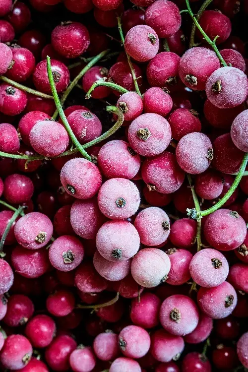 frozen-fruit-cherries