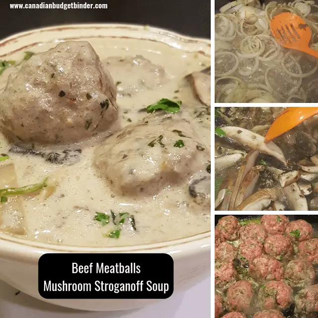 Beef Meatballs Mushroom Strognaoff Soup