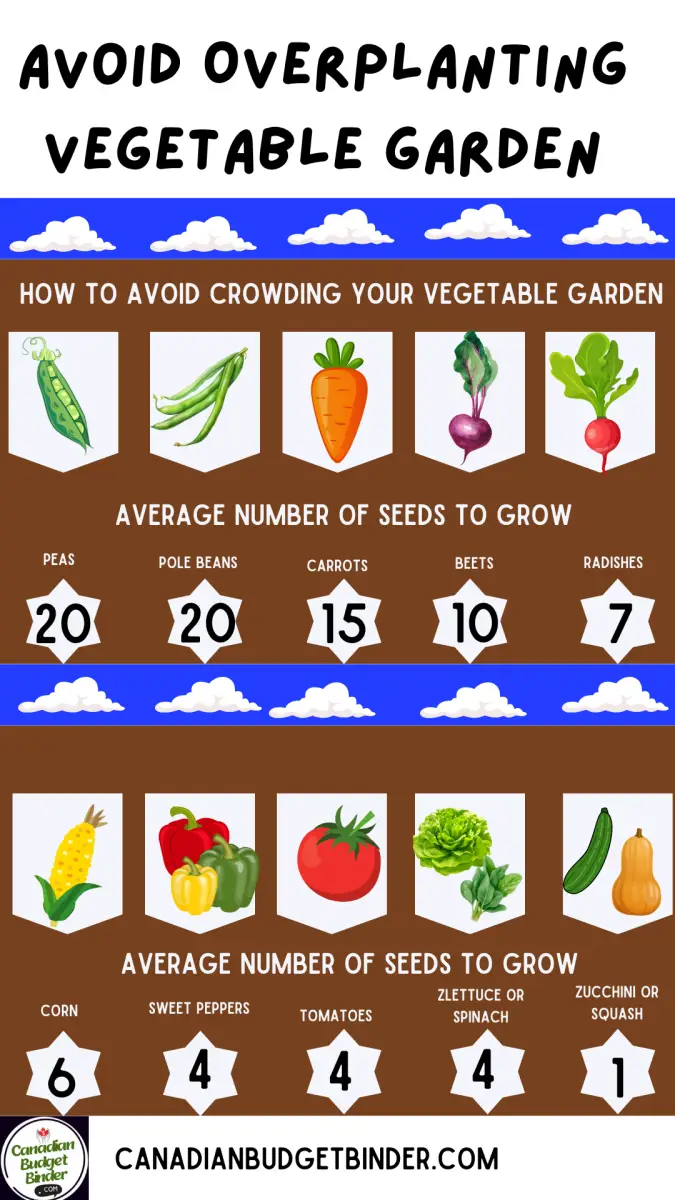 How to avoid overplanting your vegetable garden graphic