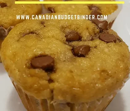 ONE-BOWL FLOURLESS PEANUT BUTTER BANANA OATMEAL CHOCOLATE CHIP MUFFINS