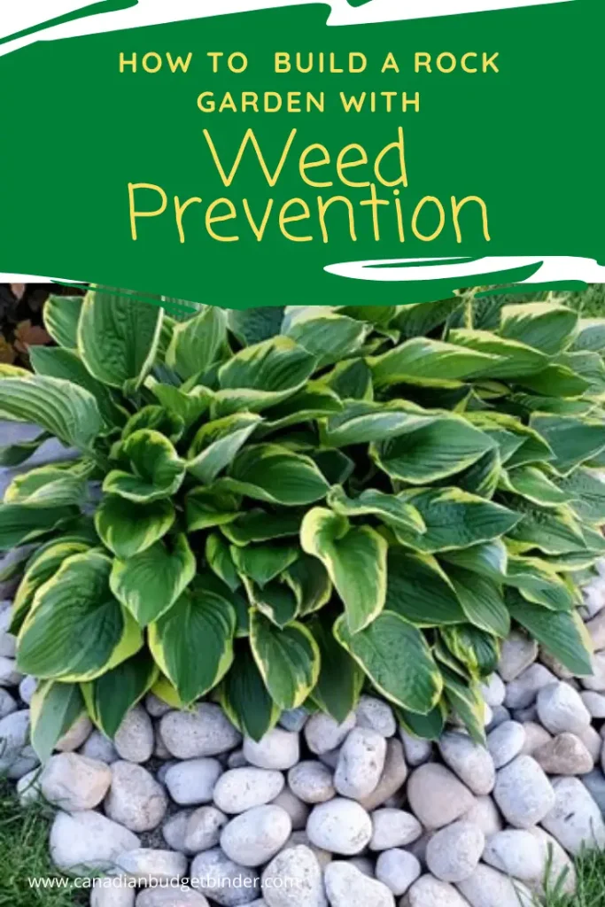 weed prevention rock garden