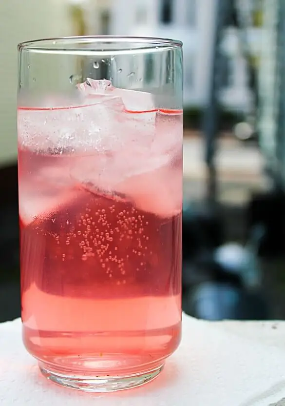 rhubarb-water