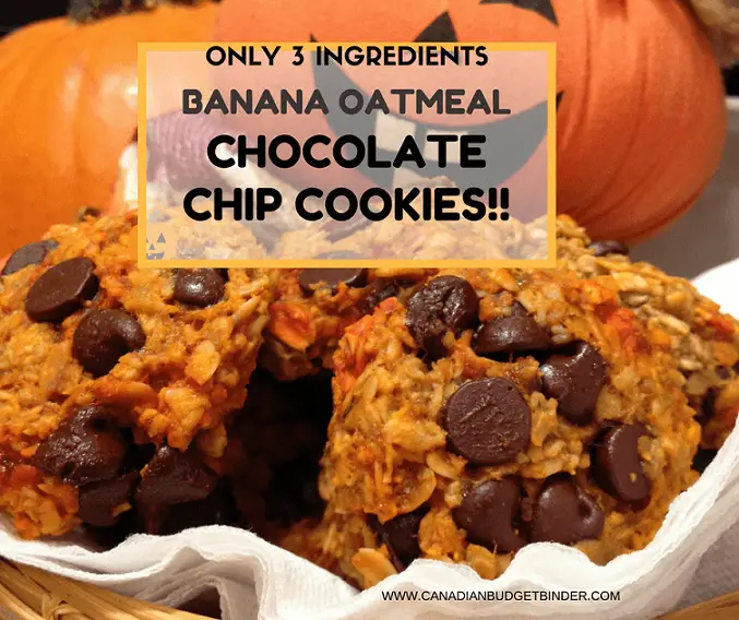 the-easiest-banana-oatmeal-chocolate-chip-cookies-ever-2