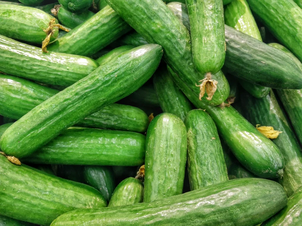 green cucumbers