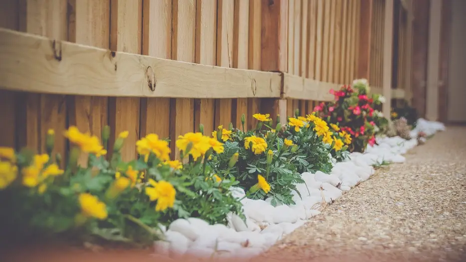 curb-appeal-ideas-for-your-home-